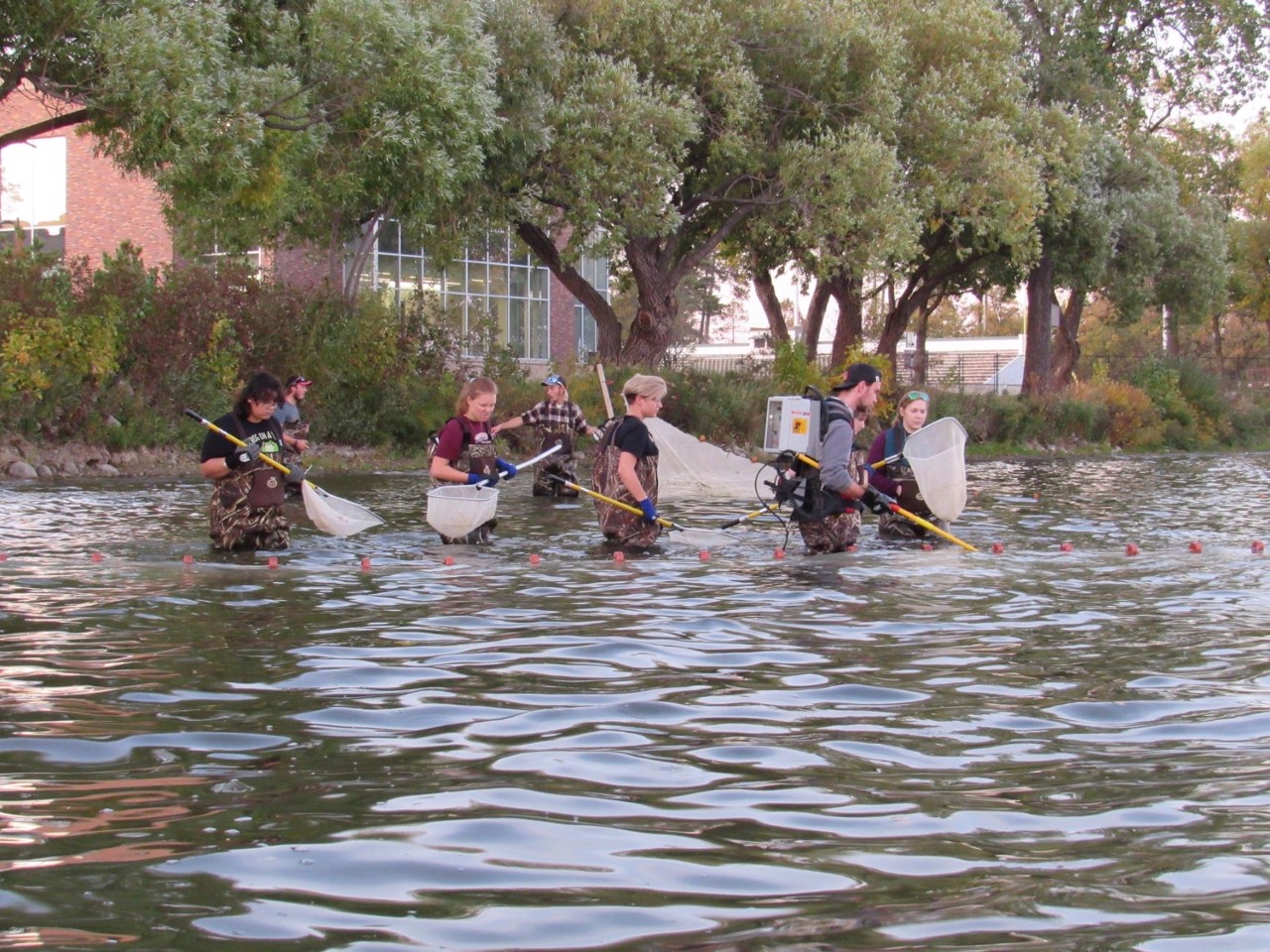 American Fisheries Society students E-Fishing