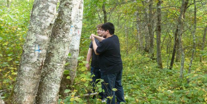 hobson forest sampling