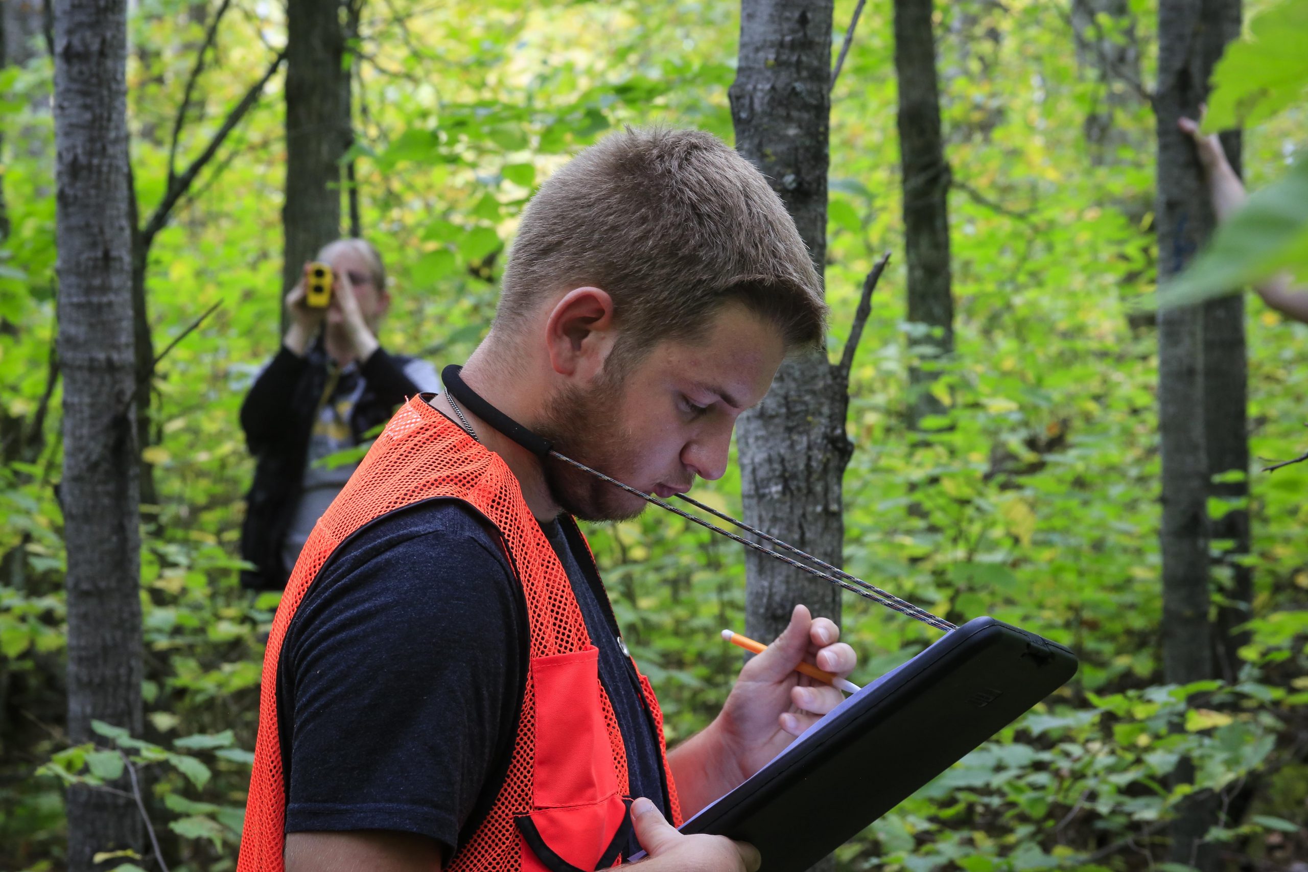 hobson forest sampling