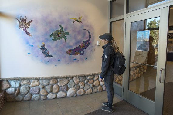 A student looking at a mural of turtles and fish in the AIRC