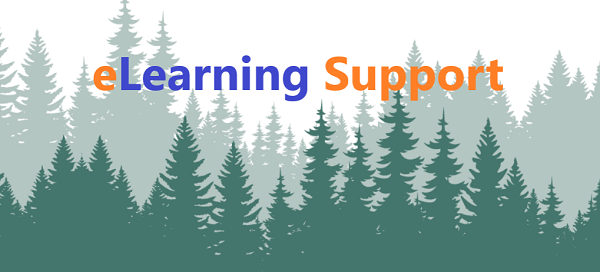 eLearning Support