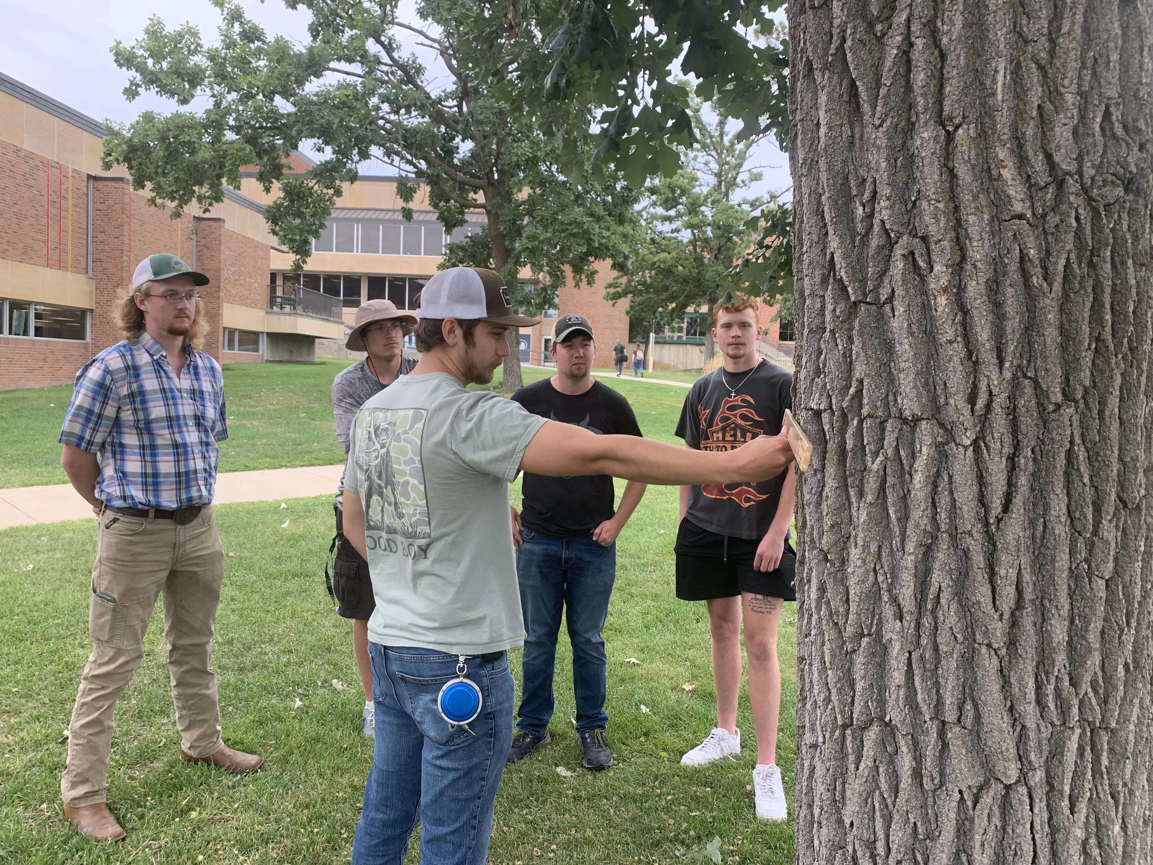 Students in Forest Biometry class taking dbh measurements.