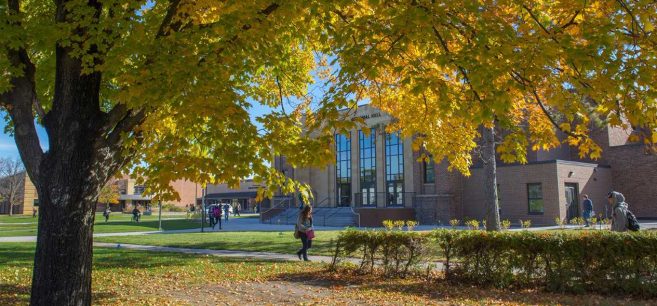 Bemidji State Online MBA Offers Flexible Course Schedule At Affordable  Price | School of Graduate Studies | Bemidji State University