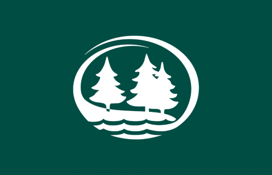 BSU tree logo page header