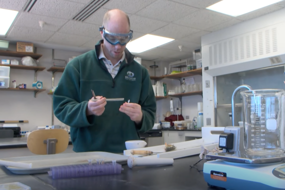 BSU Researchers Study Chemicals' Impact on Local Wildlife