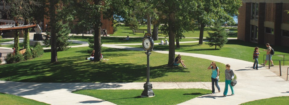 Students in a courtyard during the summer studying and walking