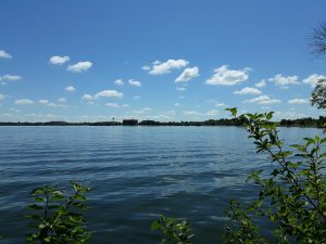 Lake Bemidji Shoreline