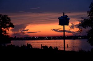 Lake Bemidji at sunset 