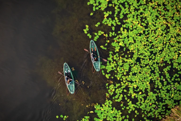 Two paddleboarders on a lake with green plants