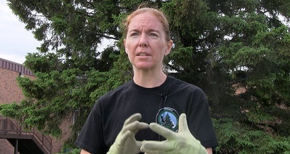 Happy Little Trees: Sustainability Office Plants Donated Trees on Campus