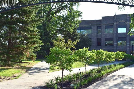 Video: Grounds Crew Completes New Flower Bed on Deputy Hall Walkway