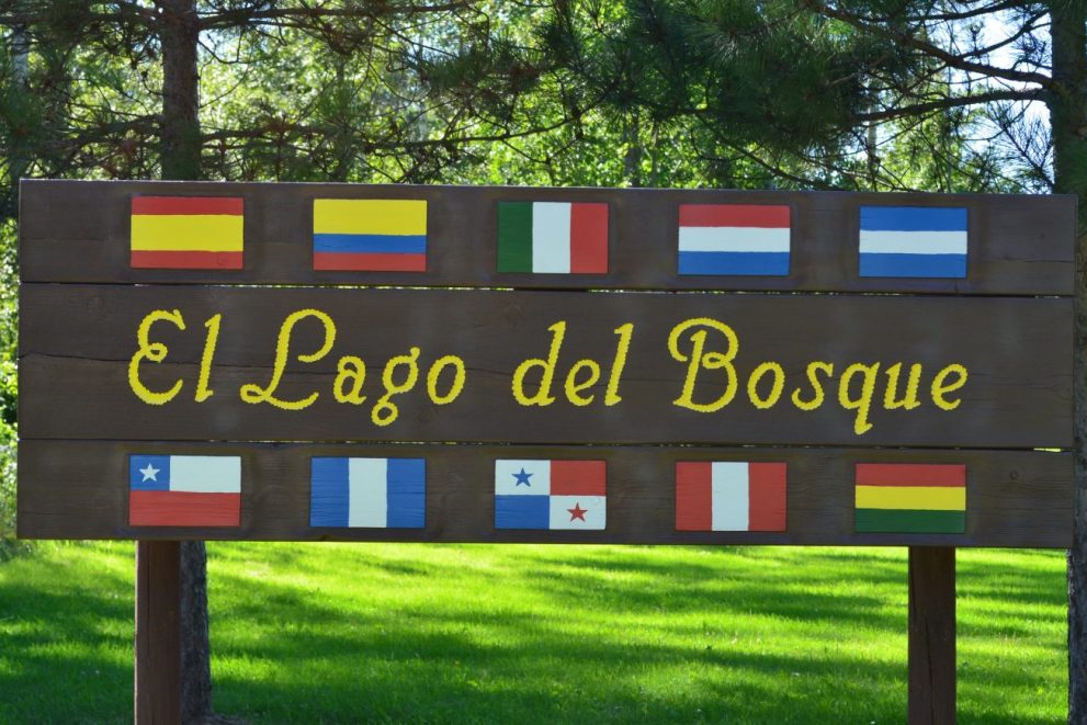 El Lago De Bosque