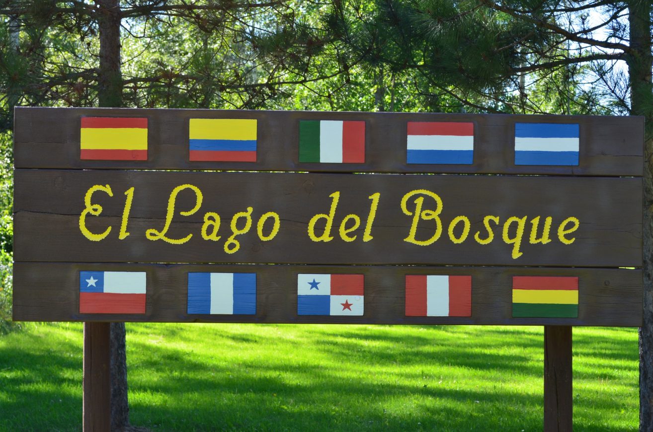 El Lago De Bosque