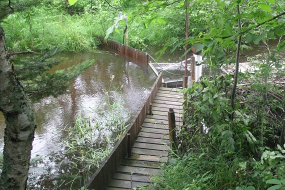 Shingobee Headwaters Aquatic Ecosystems Project