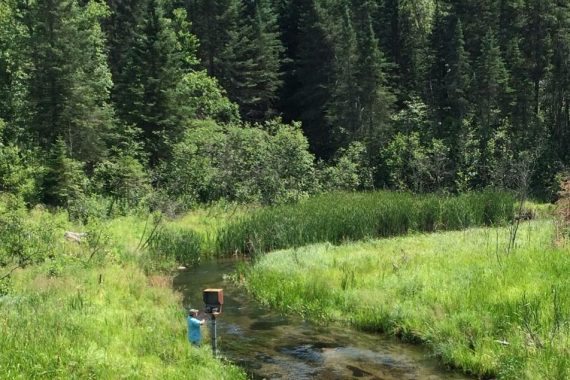 Shingobee Headwaters Aquatic Ecosystems Project