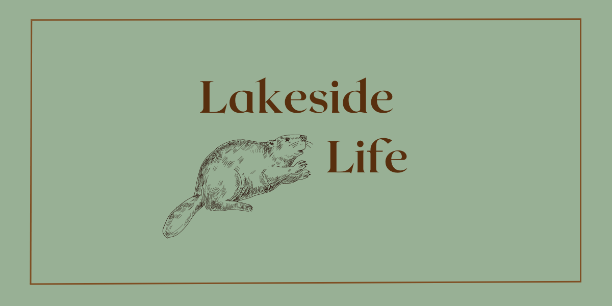 A graphic for the Lakeside Life blog series