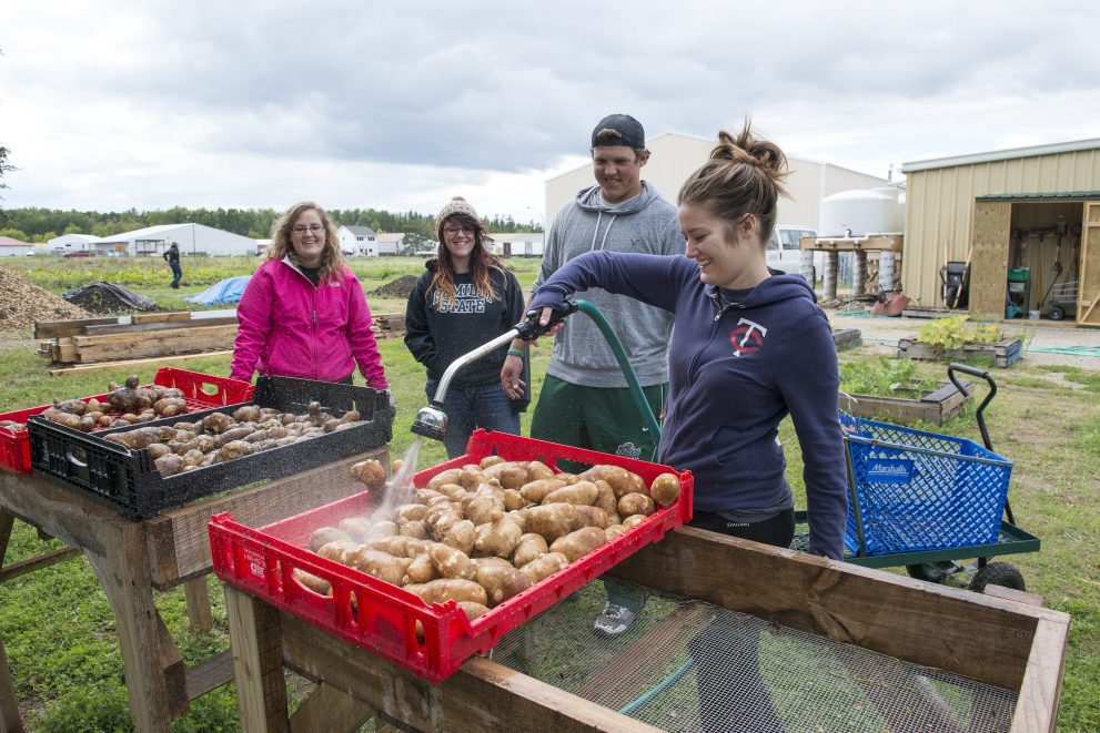 BSU students take part in a service-learning opportunity