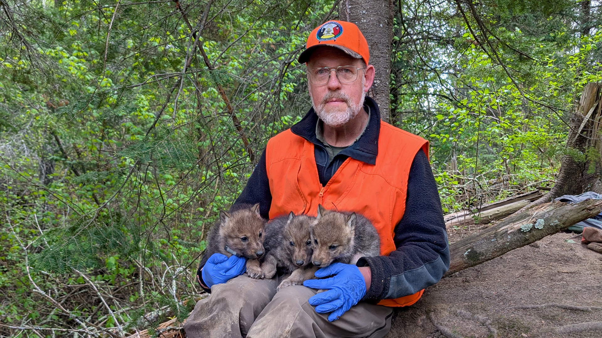 Mike Schrage, wildlife biologist with the Fond du Lac Band's Resource Management Division