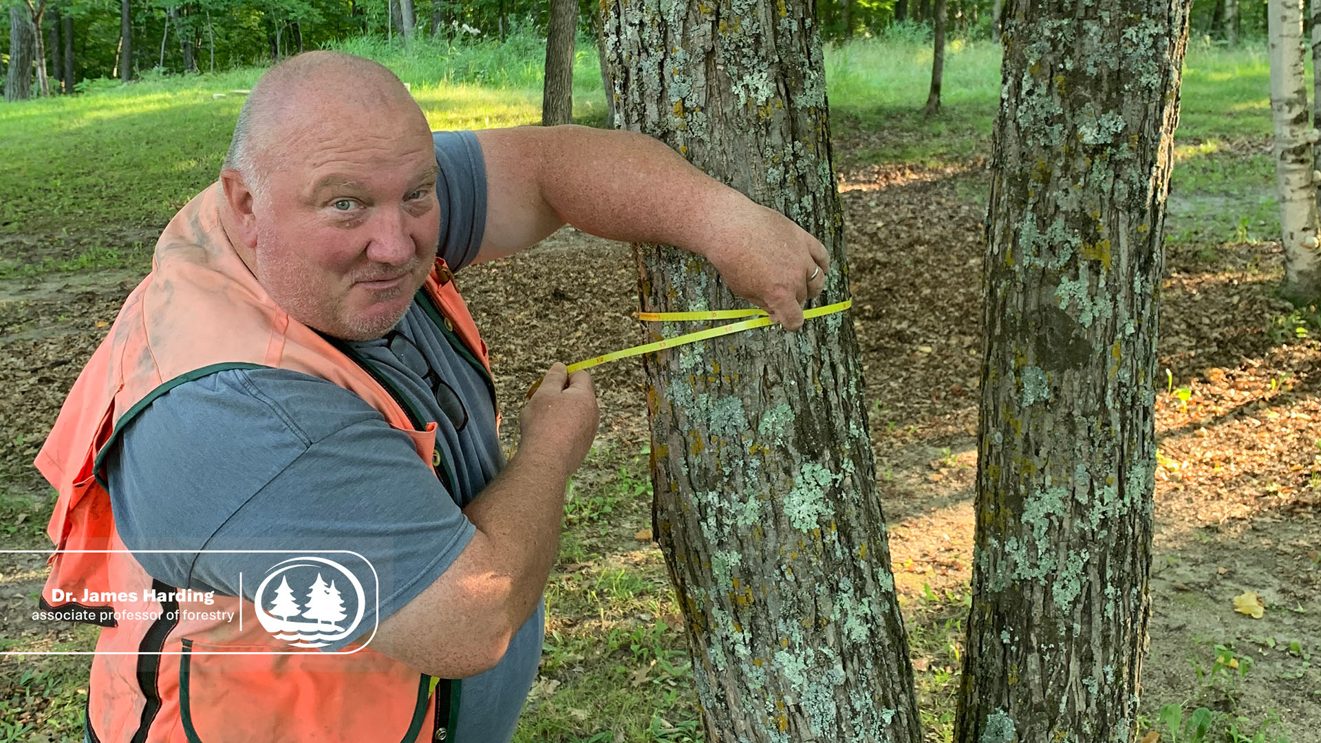Dr. James Harding measures the circumference of a tree with a yellow tape measure.