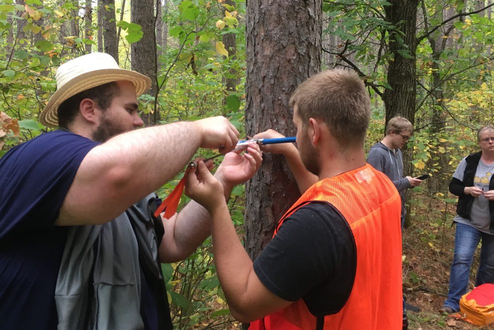 Students in the woods are using various tools to measure trees.