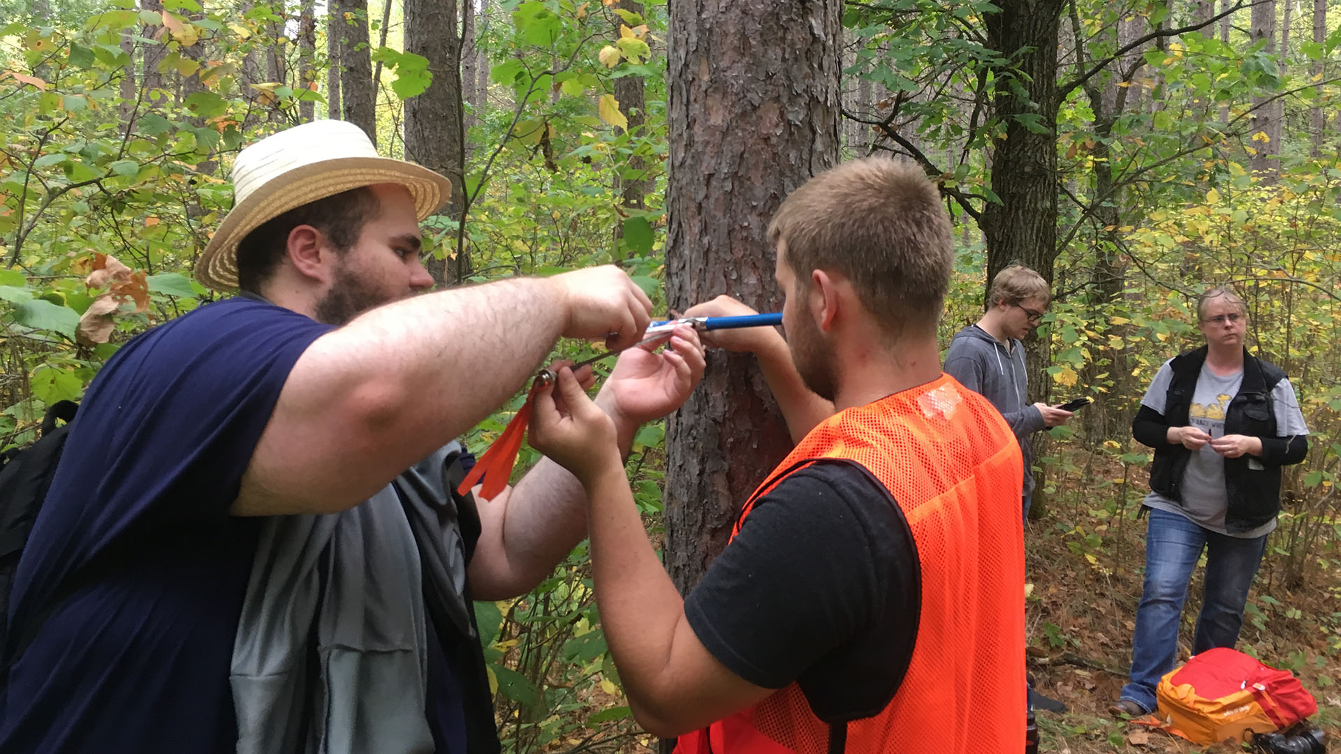 Students in the woods are using various tools to measure trees.