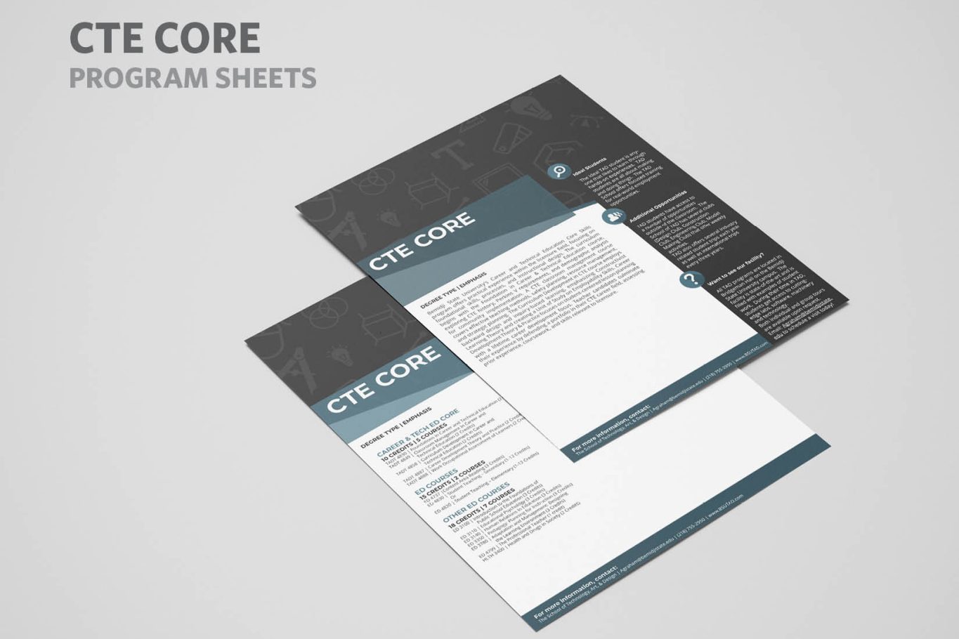 Project Examples