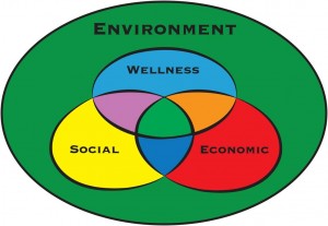 Colorful Wellness Model