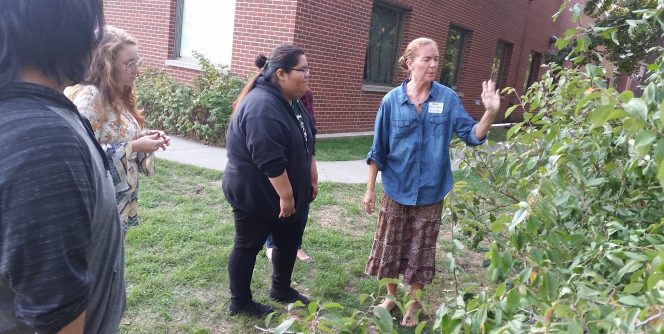 Learning to make plum juice from trees behind the AIRC during a Traditional Skills Workshop.