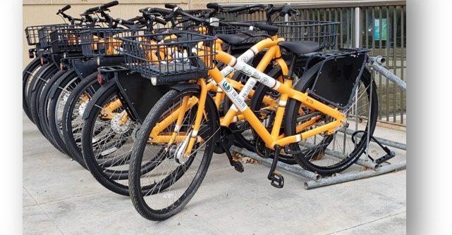 Bucky's Bikes are available for fall, spring, and summer rental by students, staff, and faculty.