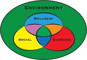 BSU's Wellness Model for Sustainability