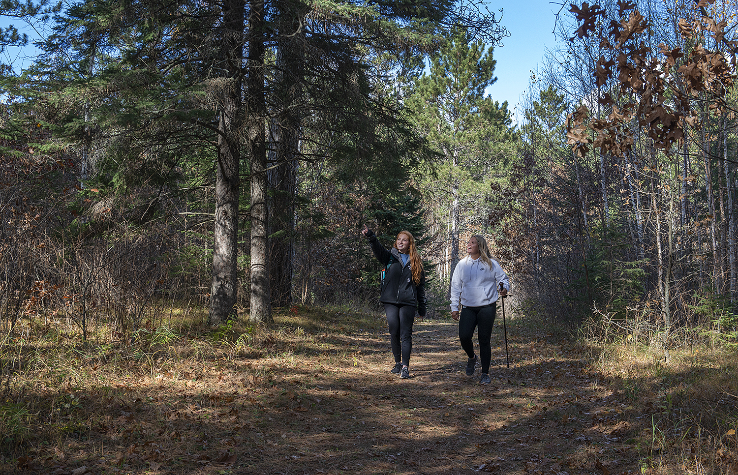 Two Bemidji State students walking through evergreen forest