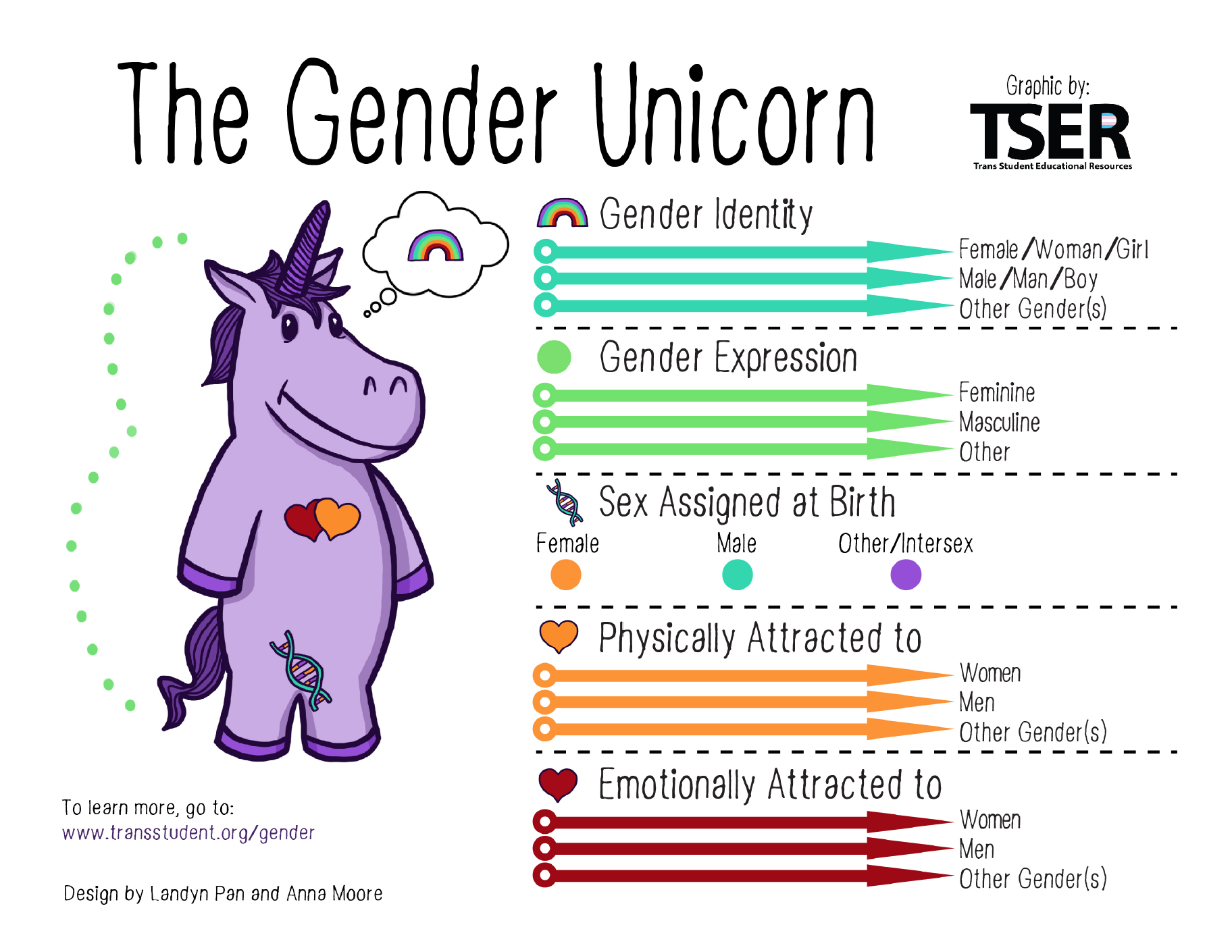 The gender Unicorn chart