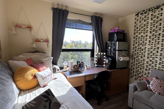 Linden suite room with unlofted bed on the left, desk and dresser in the middle under the window, and futon on the right.
