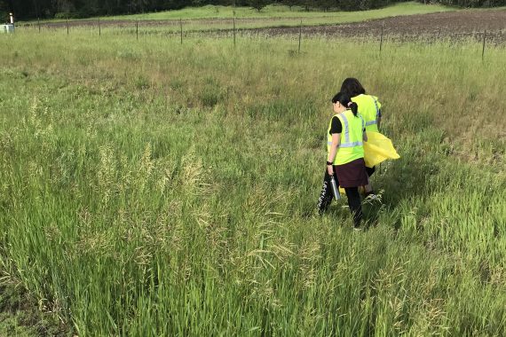 Students walking in a field in a hi-vis vest