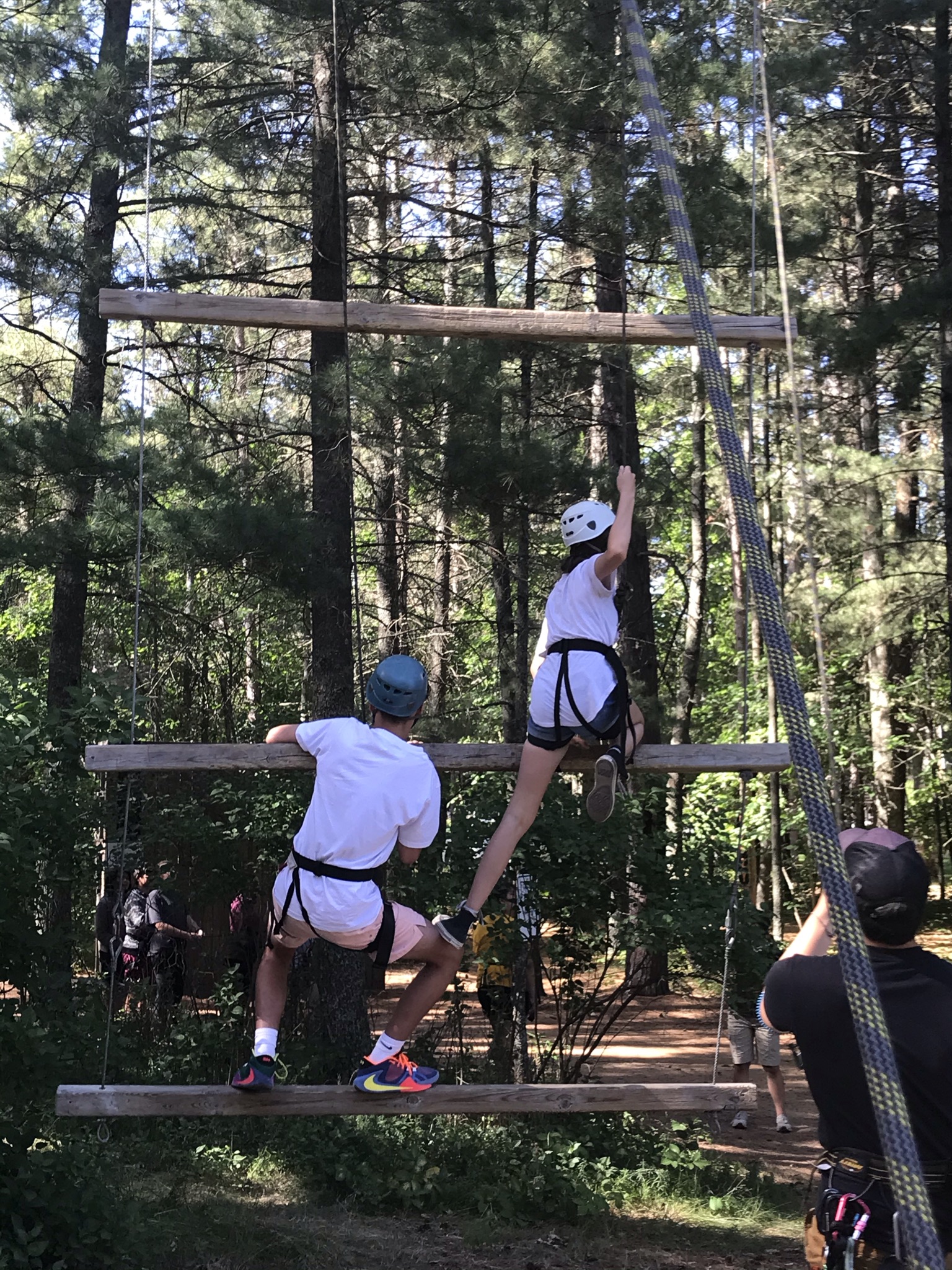 Students climbing up a wooden ladder in a forest
